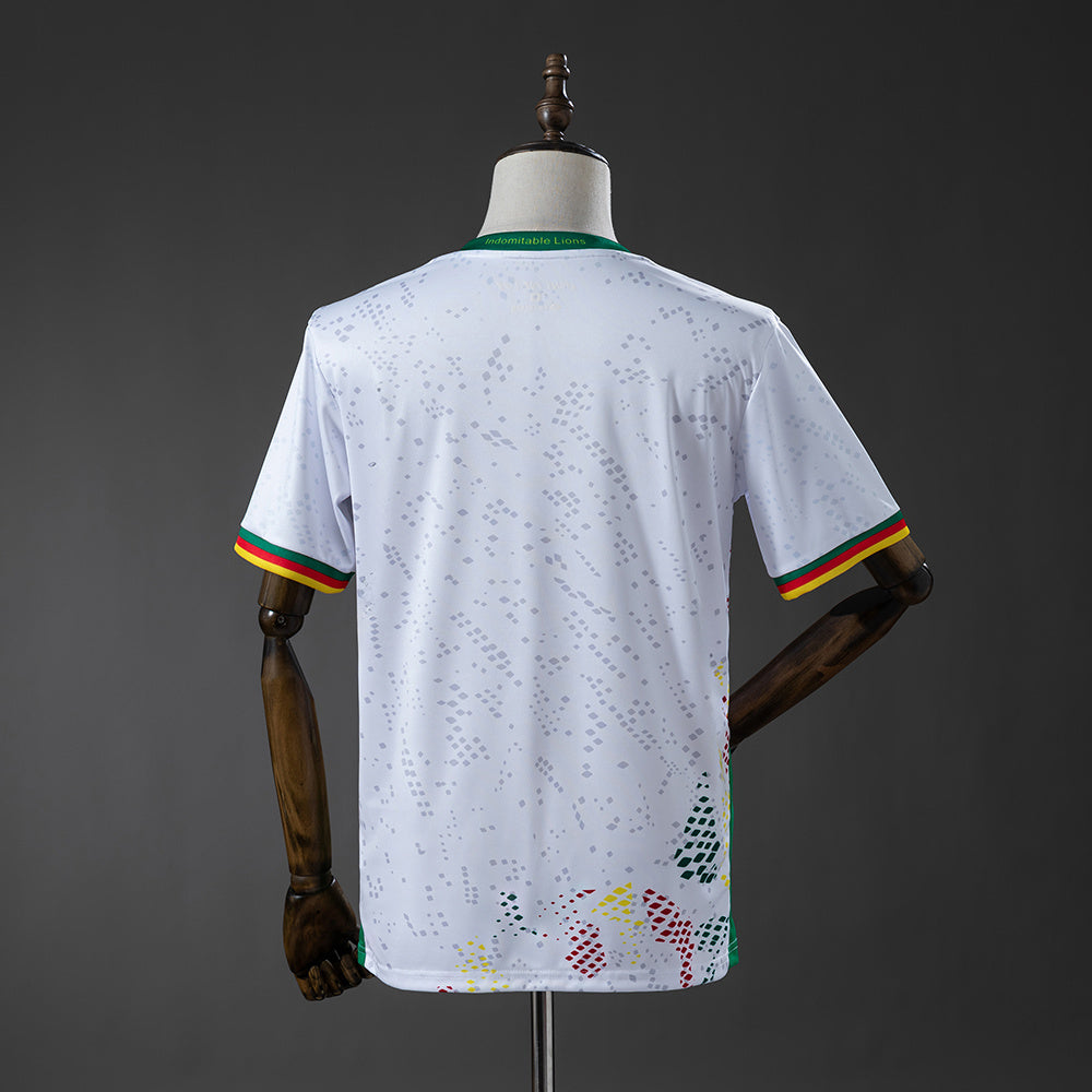 Cameroun Extérieur - 2026